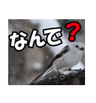 シマエナガ★毎日ハッピー（個別スタンプ：33）