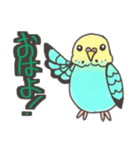 いろんなインコさんたち！（個別スタンプ：1）