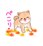 秋の敬語♡柴犬とフクロウ（個別スタンプ：10）