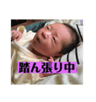桃子とたまにちースタンプ（個別スタンプ：3）