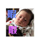 桃子とたまにちースタンプ（個別スタンプ：5）