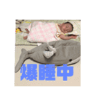 桃子とたまにちースタンプ（個別スタンプ：8）