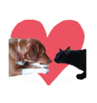ようことくろすけ（個別スタンプ：1）
