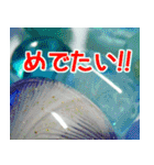 硝子ざんまいセット -2-（個別スタンプ：5）
