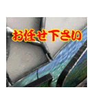 硝子ざんまいセット -2-（個別スタンプ：21）