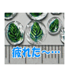 硝子ざんまいセット -2-（個別スタンプ：30）