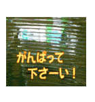 硝子ざんまいセット -2-（個別スタンプ：31）