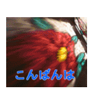 硝子ざんまいセット -2-（個別スタンプ：39）