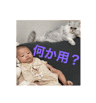 ぼくさっくん！！！！！（個別スタンプ：22）
