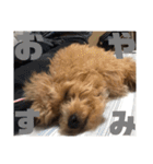 虎之介の日常2（個別スタンプ：8）