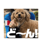 虎之介の日常2（個別スタンプ：9）
