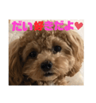 虎之介の日常2（個別スタンプ：16）