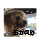 虎之介の日常2（個別スタンプ：21）