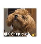 虎之介の日常2（個別スタンプ：28）