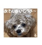 虎之介の日常2（個別スタンプ：32）