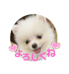 りく＆るる（個別スタンプ：2）