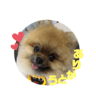 りく＆るる（個別スタンプ：3）
