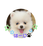 りく＆るる（個別スタンプ：4）