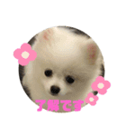 りく＆るる（個別スタンプ：6）
