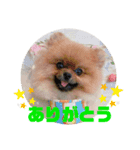 りく＆るる（個別スタンプ：7）