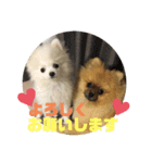 りく＆るる（個別スタンプ：8）
