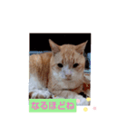 もももむもむ（個別スタンプ：5）