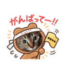 きよきよスタンプ②（個別スタンプ：2）