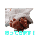 はるKING（個別スタンプ：3）