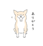 おかしな動物スタンプ集（個別スタンプ：2）