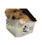 ソルト①（個別スタンプ：2）
