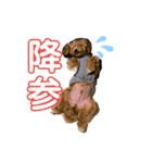 ソルト①（個別スタンプ：3）