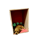 ソルト①（個別スタンプ：6）