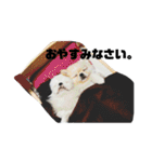 juntowa家スタンプ（個別スタンプ：4）
