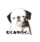juntowa家スタンプ（個別スタンプ：7）