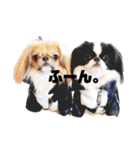 juntowa家スタンプ（個別スタンプ：9）