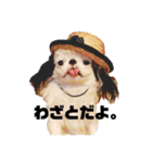 juntowa家スタンプ（個別スタンプ：12）