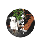 juntowa家スタンプ（個別スタンプ：14）