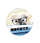 juntowa家スタンプ（個別スタンプ：16）