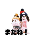 juntowa家スタンプ（個別スタンプ：22）