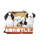 juntowa家スタンプ（個別スタンプ：25）