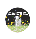 juntowa家スタンプ（個別スタンプ：26）