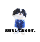 juntowa家スタンプ（個別スタンプ：39）