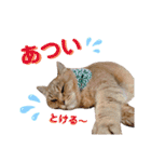 momiraスタンプ（個別スタンプ：18）