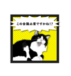 無敵な白黒猫（個別スタンプ：1）