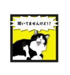 無敵な白黒猫（個別スタンプ：5）