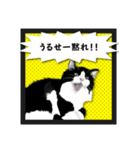無敵な白黒猫（個別スタンプ：6）