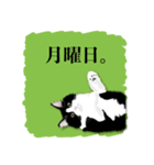 無敵な白黒猫（個別スタンプ：19）