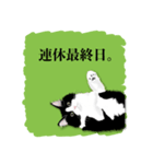 無敵な白黒猫（個別スタンプ：20）