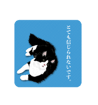 無敵な白黒猫（個別スタンプ：21）