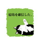 無敵な白黒猫（個別スタンプ：23）